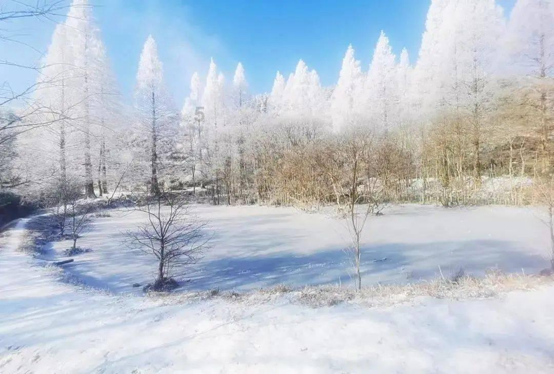 探讨交流,畅聊天涯,清华北大硕士博士研究生纷纷进入公务员队伍,如何看待这一现象?等你来!
