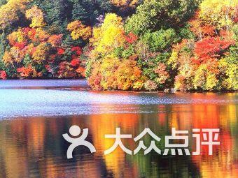 交通高峰期