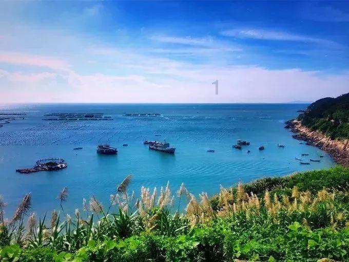 小时代官方游戏