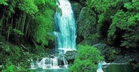 牛油果面包
