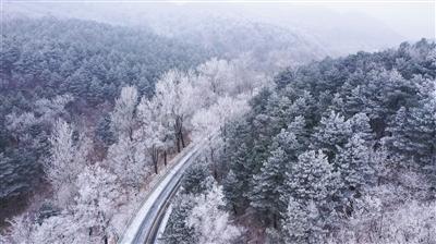 埃及坟墓的秘密